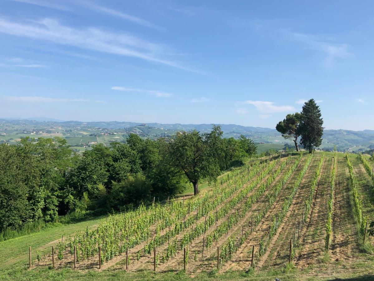 Cascina San Michele Panzió Costigliole d'Asti Kültér fotó