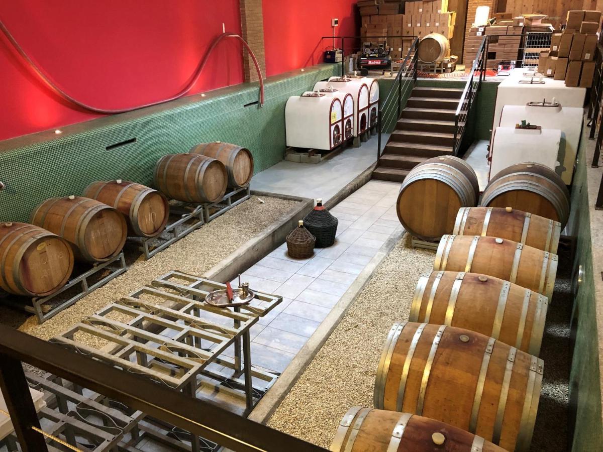 Cascina San Michele Panzió Costigliole d'Asti Kültér fotó